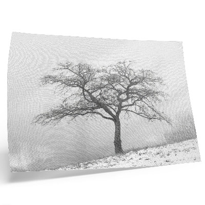 Poster para a sala Árvore solitária, inverno, paz, minimalismo, harmonia