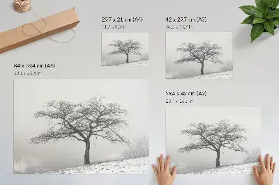 Poster para sala árvore solitária com temática de inverno, paz e minimalismo