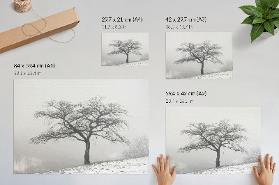 Poster para a sala Árvore solitária, inverno, paz, minimalismo, harmonia