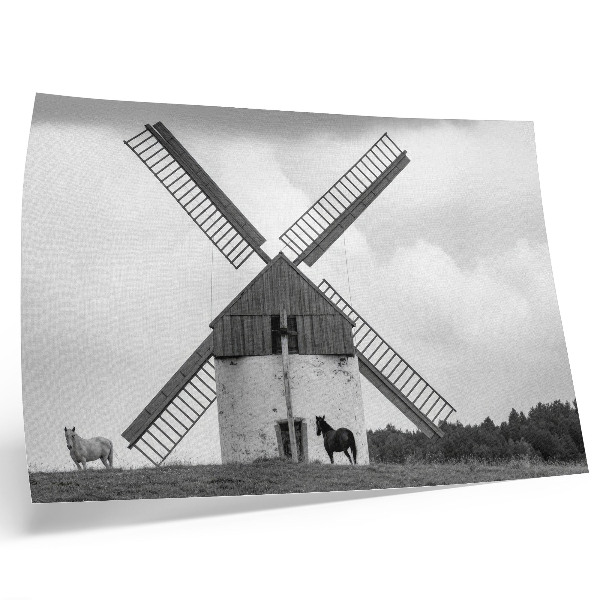 Poster em tela Um moinho de vento preto e branco num campo com cavalos.
