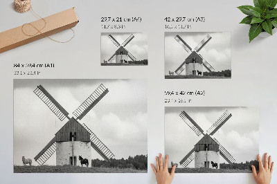 Poster em tela Um moinho de vento preto e branco num campo com cavalos.