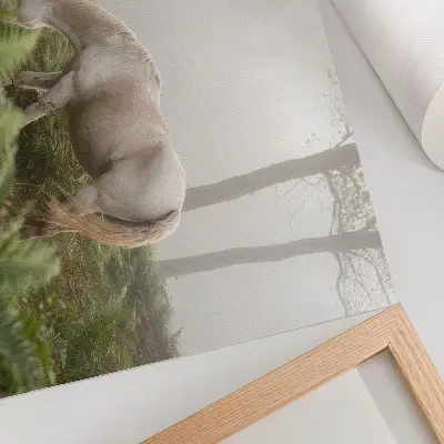 Poster para sala cavalo em floresta enevoada com samambaias