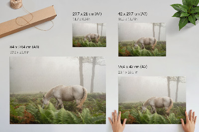 Poster para a sala Um cavalo contra um fundo de samambaias em uma floresta enevoada.