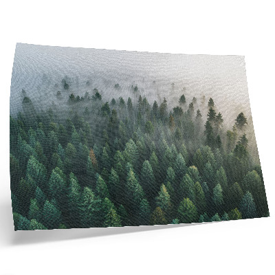 Poster mural Floresta verdejante na neblina, atmosférica e misteriosa.