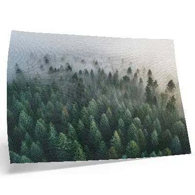 Poster mural floresta verdejante na neblina com aspecto atmosférico e misterioso