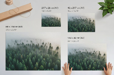 Poster mural Floresta verdejante na neblina, atmosférica e misteriosa.