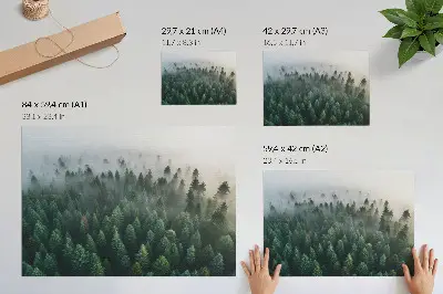 Poster mural floresta verdejante na neblina com aspecto atmosférico e misterioso