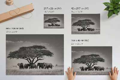 Poster Elefantes sob uma árvore na savana africana