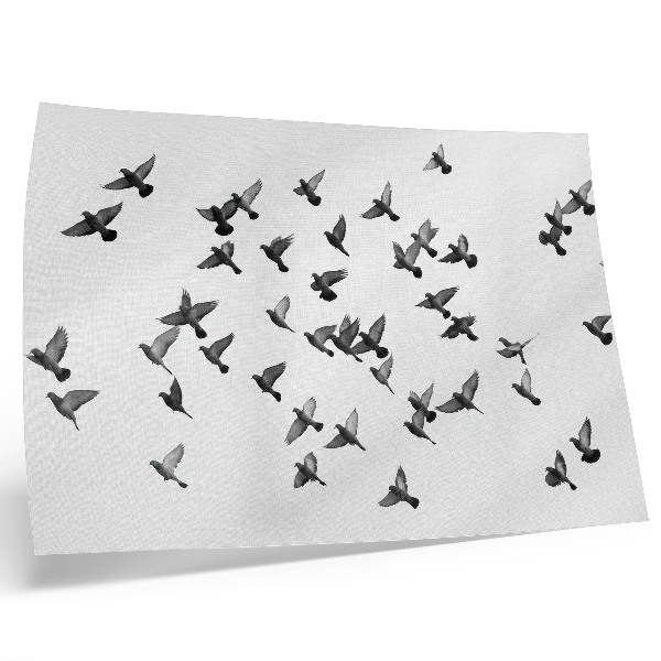 Poster para a sala Pássaros em voo: elegantes harmonias em preto e branco.