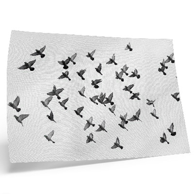 Poster para a sala Pássaros em voo: elegantes harmonias em preto e branco.