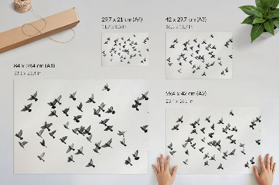 Poster para a sala Pássaros em voo: elegantes harmonias em preto e branco.