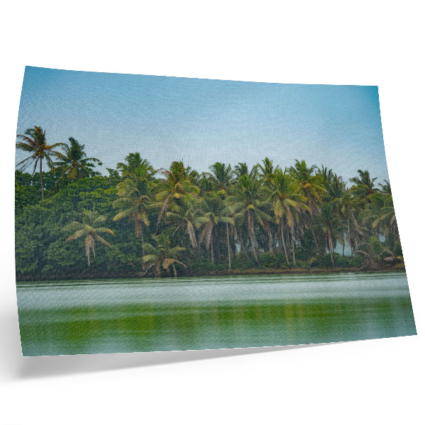 Poster em tela Palmeiras tropicais, água calma, céu harmonioso