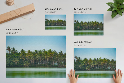 Poster em tela Palmeiras tropicais, água calma, céu harmonioso