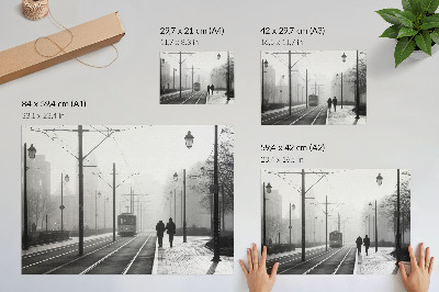 Poster mural Neblina de bonde, postes de luz, atmosfera urbana