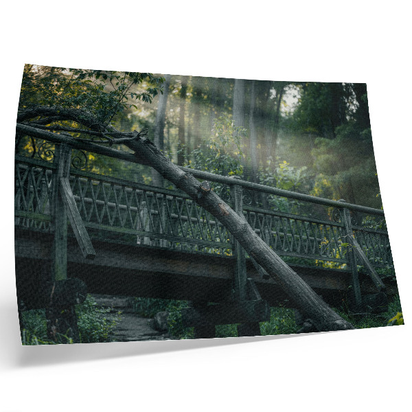 Poster Uma ponte de madeira em meio à vegetação e à luz do sol.