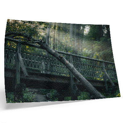 Poster Uma ponte de madeira em meio à vegetação e à luz do sol.
