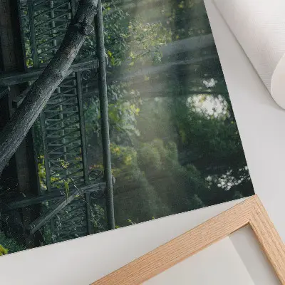 Pôster ponte de madeira em meio à vegetação com luz do sol