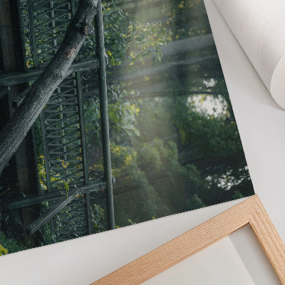 Poster Uma ponte de madeira em meio à vegetação e à luz do sol.