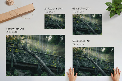 Poster Uma ponte de madeira em meio à vegetação e à luz do sol.