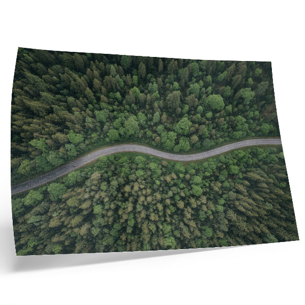 Poster mural Estrada sinuosa em floresta verde, atmosfera tranquila