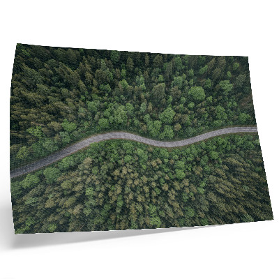 Poster mural Estrada sinuosa em floresta verde, atmosfera tranquila