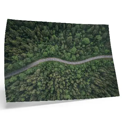 Poster mural estrada sinuosa em floresta verde com atmosfera tranquila