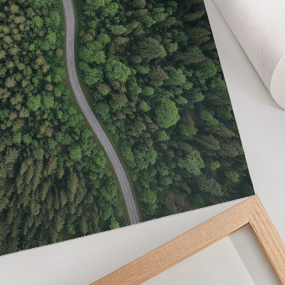 Poster mural Estrada sinuosa em floresta verde, atmosfera tranquila