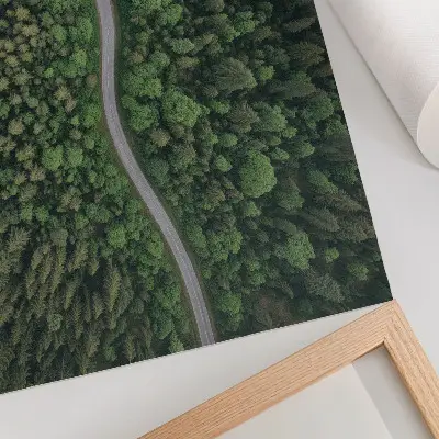 Poster mural estrada sinuosa em floresta verde com atmosfera tranquila