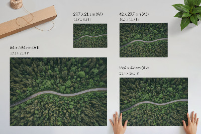 Poster mural Estrada sinuosa em floresta verde, atmosfera tranquila