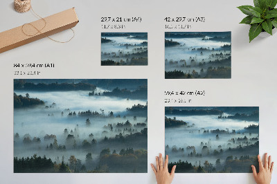 Poster em tela Árvores verdes na neblina, atmosfera tranquila, cores suaves.