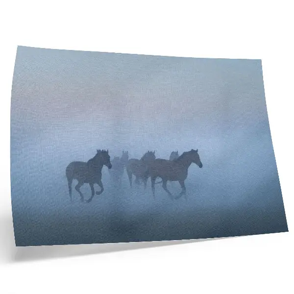 Poster Cavalos na Névoa uma composição calma e repleta de paz para a sala