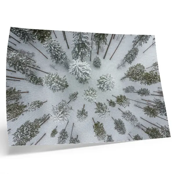 Poster em tela paz da floresta de inverno minimalismo e naturalidade