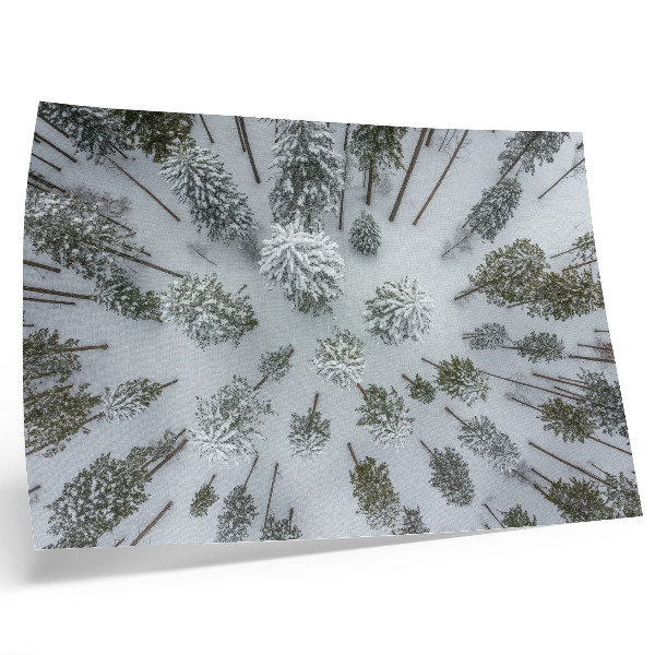 Poster em tela paz da floresta de inverno minimalismo naturalidade