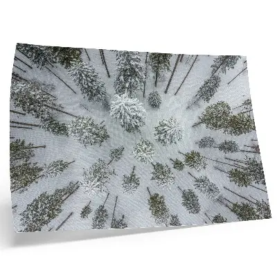 Poster em tela paz da floresta de inverno minimalismo e naturalidade