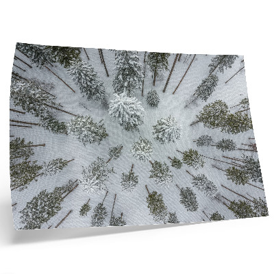 Poster em tela paz da floresta de inverno minimalismo naturalidade