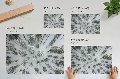 Poster em tela paz da floresta de inverno minimalismo e naturalidade