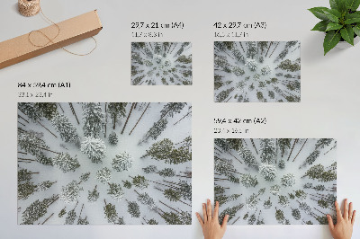 Poster em tela paz da floresta de inverno minimalismo naturalidade