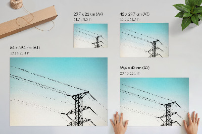 Poster Pássaros em fios elétricos, céu azul