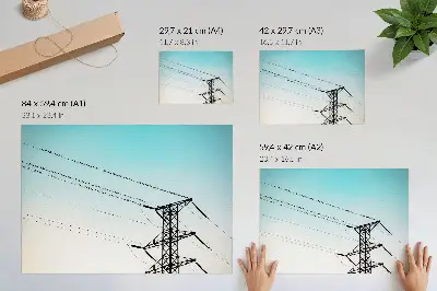 Pôster pássaros em fios elétricos com céu azul