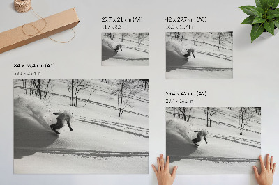 Poster mural Snowboarder em ação, contraste entre neve e árvores.