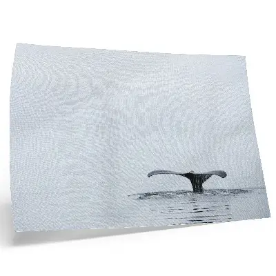 Poster em tela cauda de baleia acima da água com estilo minimalista e harmonioso