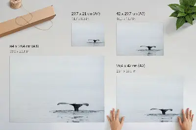 Poster em tela cauda de baleia acima da água com estilo minimalista e harmonioso