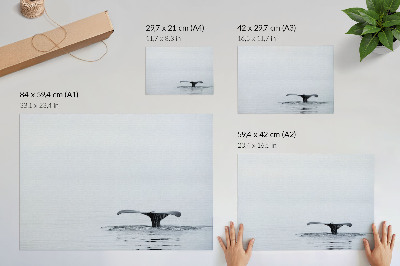 Poster em tela Cauda de baleia acima da água, minimalismo e harmonia.