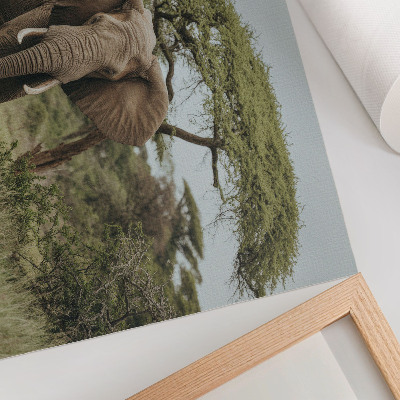 Poster mural Um elefante tendo como pano de fundo uma savana verde.