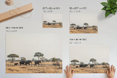 Poster Elefantes na savana africana entre as árvores
