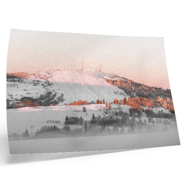 Poster em tela Uma paisagem de inverno em tons de rosa e branco.