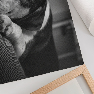 Poster para a sala Cachorro adorável dormindo em uma almofada