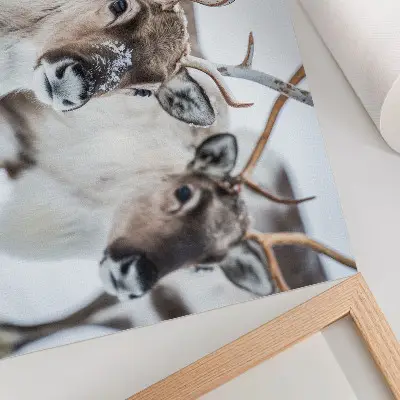 Poster mural com renas de chifres naturais em harmonia com a paisagem de inverno