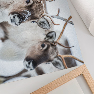 Poster mural Renas com chifres naturais em harmonia com a paisagem de inverno