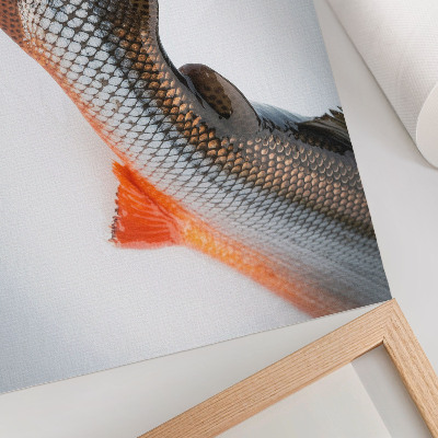 Poster Escamas naturais e cores vibrantes em close-up